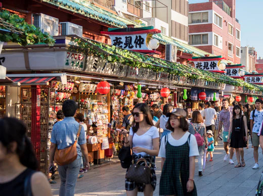 What You Need to Know About Working and Travelling in Japan